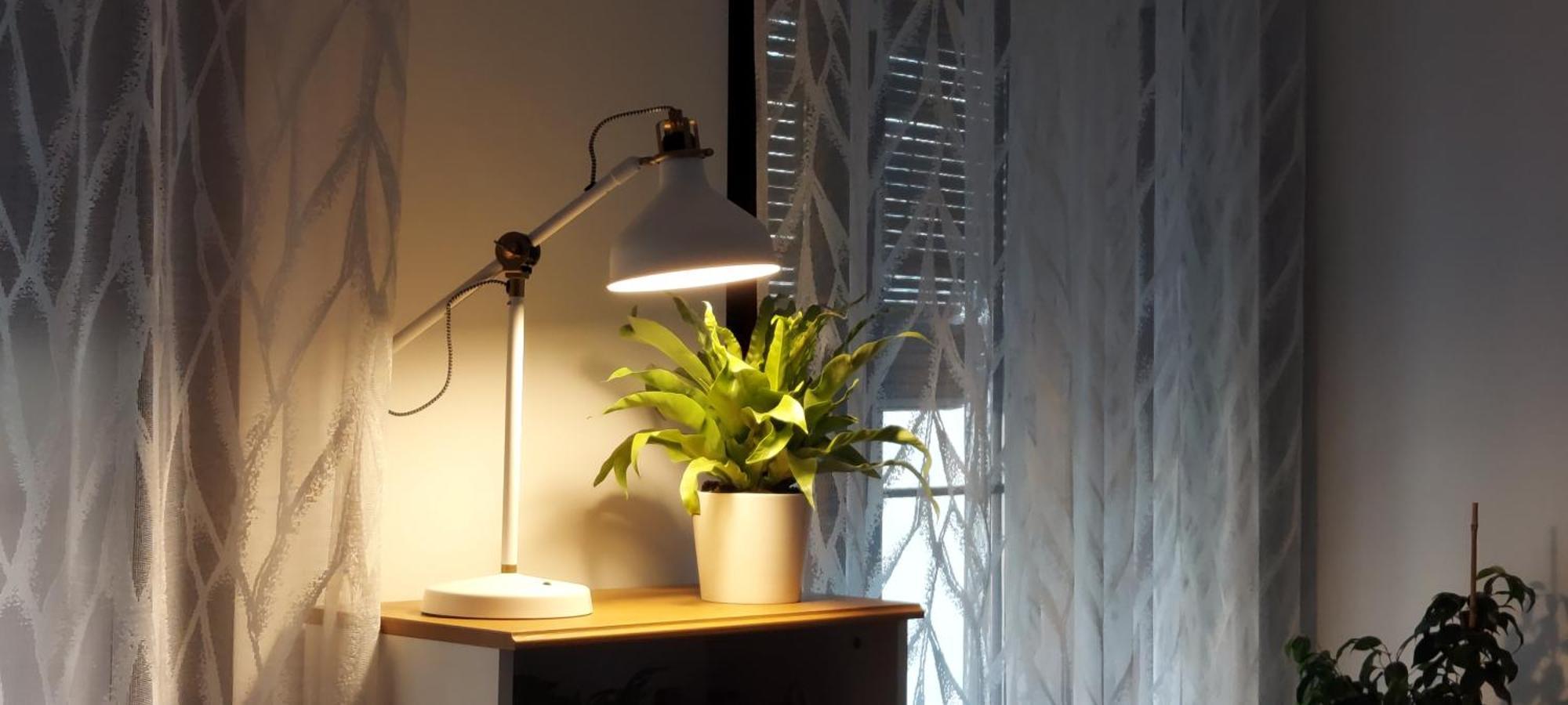 Apartamentos Los Descalzos Angel With Private Terrace Free Parking Ронда Екстериор снимка