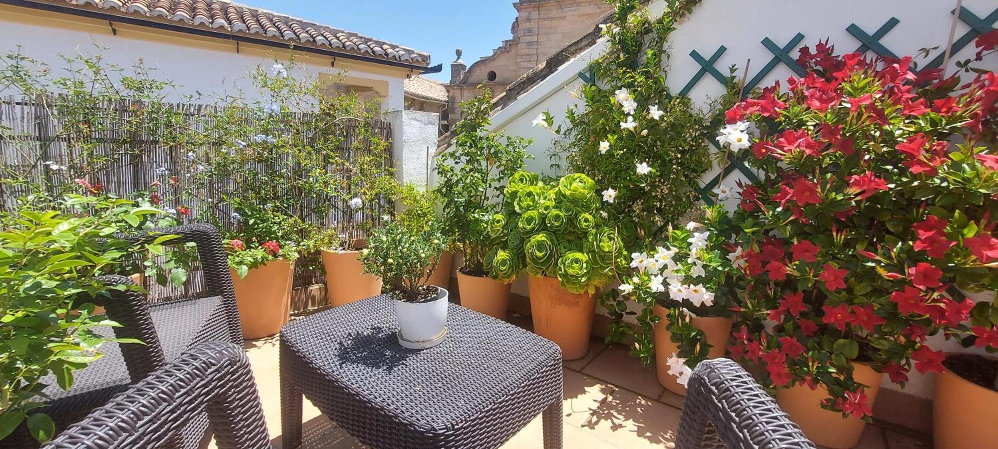 Apartamentos Los Descalzos Angel With Private Terrace Free Parking Ронда Екстериор снимка