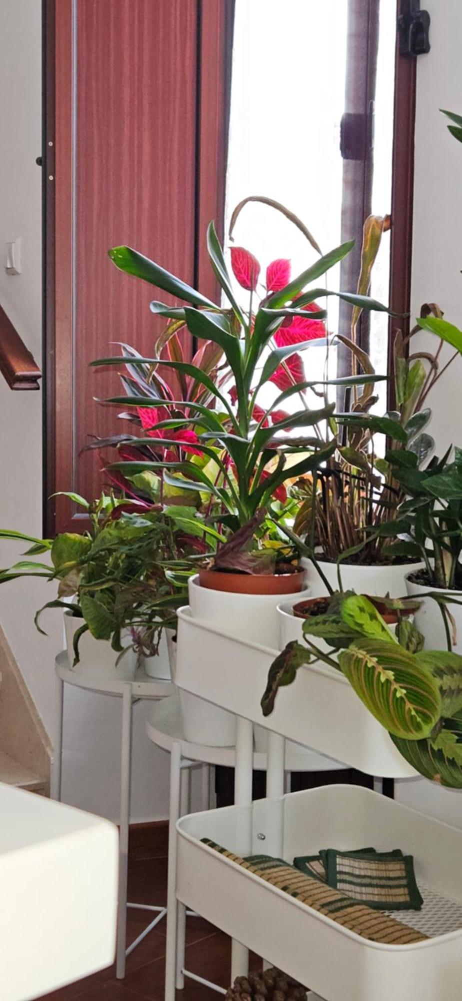 Apartamentos Los Descalzos Angel With Private Terrace Free Parking Ронда Екстериор снимка