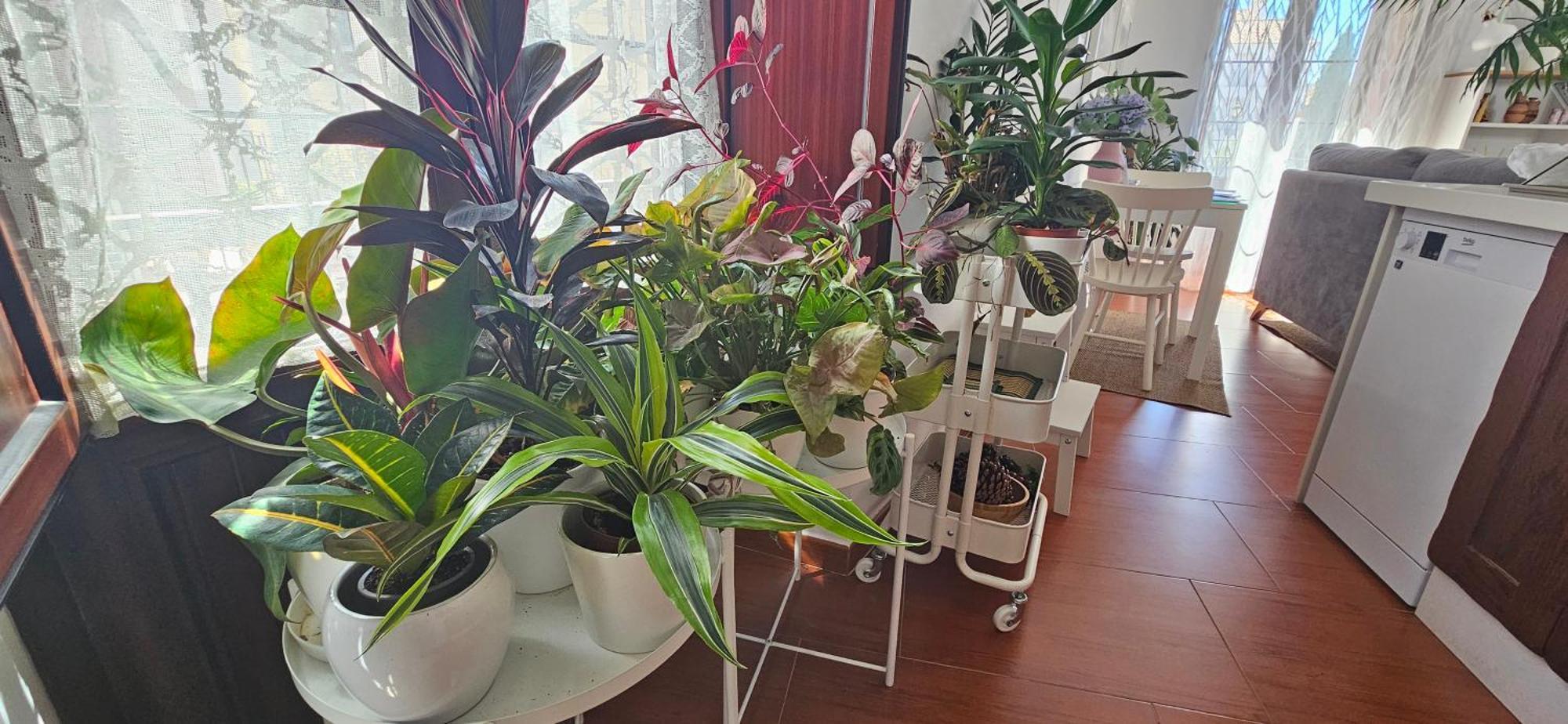 Apartamentos Los Descalzos Angel With Private Terrace Free Parking Ронда Екстериор снимка