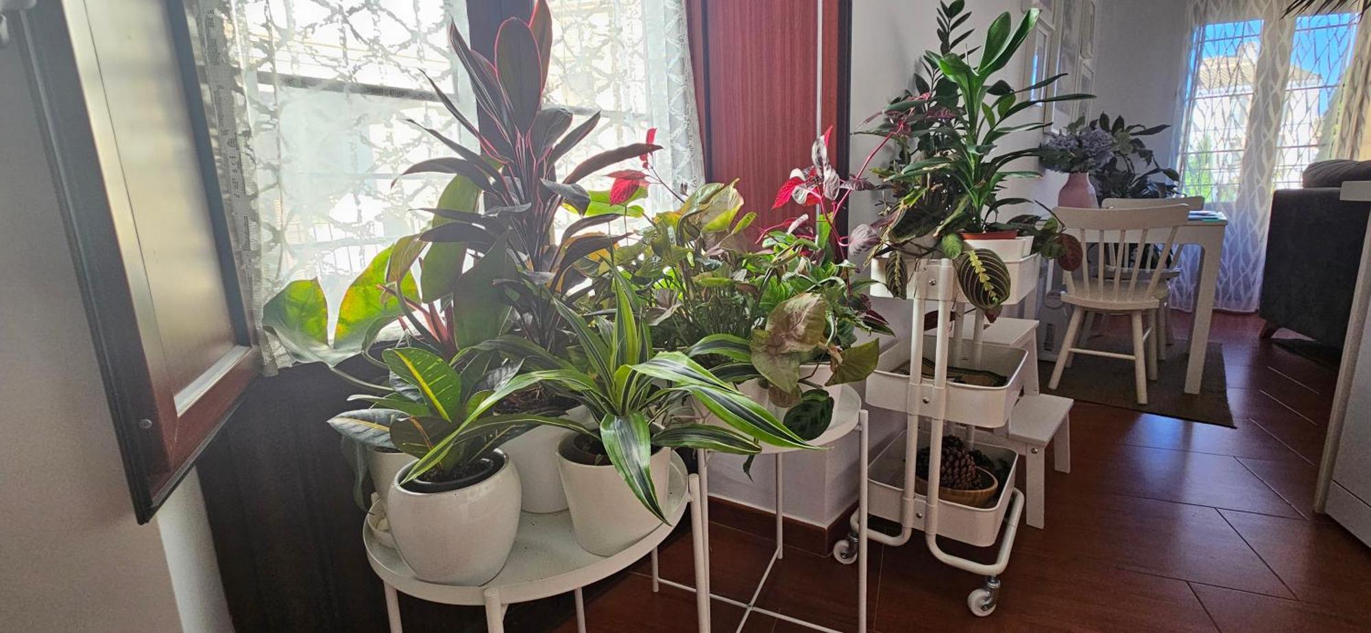 Apartamentos Los Descalzos Angel With Private Terrace Free Parking Ронда Екстериор снимка