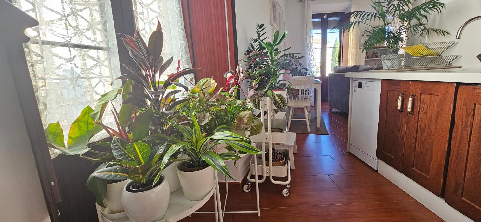 Apartamentos Los Descalzos Angel With Private Terrace Free Parking Ронда Екстериор снимка