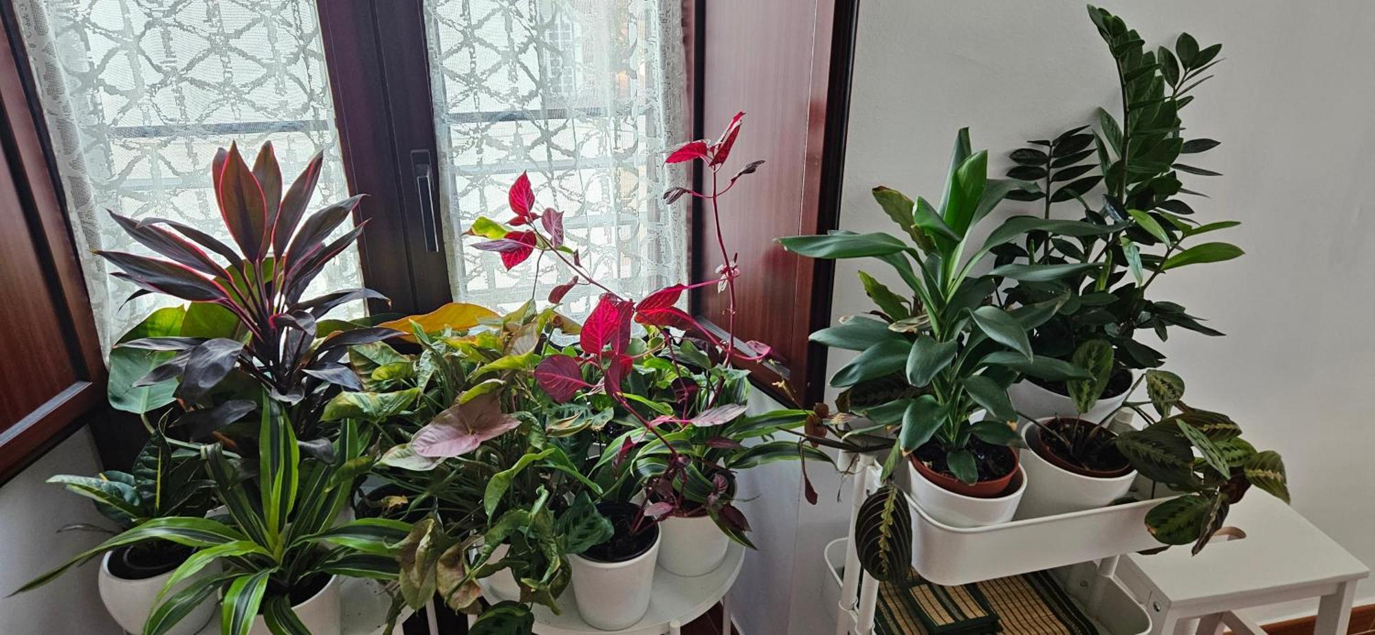 Apartamentos Los Descalzos Angel With Private Terrace Free Parking Ронда Екстериор снимка