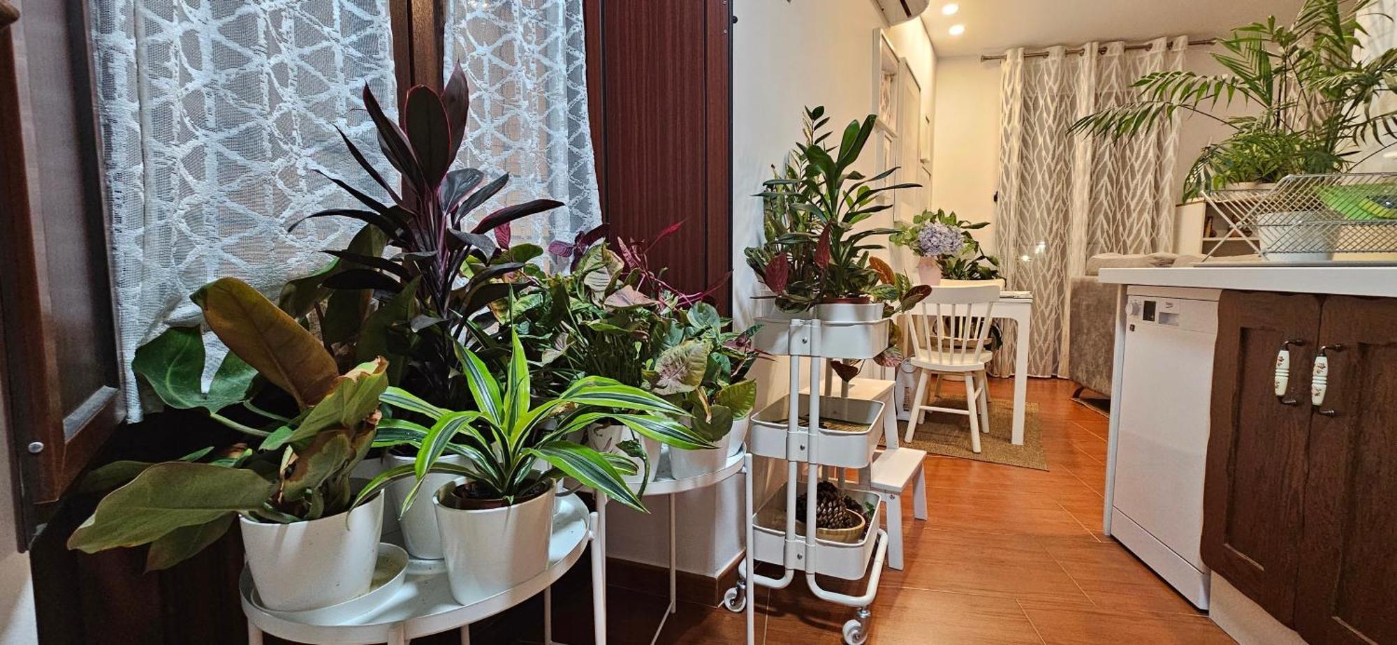 Apartamentos Los Descalzos Angel With Private Terrace Free Parking Ронда Екстериор снимка
